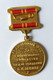 Ancienne Oude Medaille Old Medal 1870 - 1970 Vladimir Lenin Propaganda Communisme Soviet Russia USSR CCCP - Autres & Non Classés