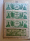 D185413  Hungary -   Hungarian-Soviet Society  -  Magyar-Szovjet Társaság -Membership Card 1952 -Lot Of 9 Tax Stamps - Revenue Stamps