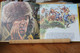 Disque Vinyle Davy Crockett Disney - Kinderlieder