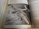 Delcampe - AMERICAN COMBAT PLANES - LES AVIONS DE COMBAT DES USA - RAY WAGNER - ANNEES 60 - TRES NOMBREUSES PHOTOS - 447 PAGES - US-Force