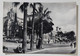 01412 Cartolina - Imperia - Sanremo - Viale Imperatrice - 1957 - San Remo