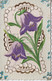 Carte De Bonne Année  Ancienne/Avec Fleurs Tulipes Gaufrées Et Découpées/France/Cintrat, Lucé (E & L) /Vers 1910   CFA62 - Anno Nuovo