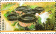 China 2021-8 “World Material Cultural Heritage-The Storied Building Of Fujian Tulou" MNH,VF Post Fresh - Nuevos