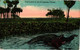 Delcampe - 14 PC FLORIDA  Cocoa Jacksonville Pierce Fort Pierce Vero Beah Miami Oklawaha River Jacksonville Main Str.  Hudson Soap - Ocala