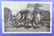 Sherborne St Anthony's Convent. . Riding Lesson Amazones Horse Cheval Paard-print Edition Phototyp Belge P.I.B. - Sonstige & Ohne Zuordnung