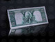 USA - Polymer 10$ 'Bison' Banknote - Completely Silver Laminated - UNC & CRISP - Verzamelingen