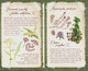 Poland 2017 Booklet / Polish Herbarium - Cornflower, Common Chamomile, Yarrow, Sand Thyme Herbs / FDC + Sheet MNH** - Booklets