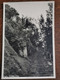 Delcampe - 10 Carte Photo Village De Montagne GERRA - Cugnasco-Gerra