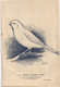 The Montreal CANARY And CAGE BIRDS Association/Canada's Championship Show/Legion Hall VERDUNl/1942   VPN378 - Tiere