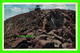 COLORADO SPRINGS, CO - PANORAMA OF SUMMIT OF PIKES PEAK  - TRAVEL IN 1923 - - Colorado Springs