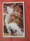 Three Lower Falls,Seven Falls  Colorado Springs Colorado > Colorado Springs     Ref  5400 - Colorado Springs
