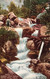 Horse Shoe Falls, Estes Park - Colorado - RARE! - Rocky Mountains