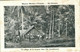 PC UK, SALOMON ISLANDS, UN VILLAGE DE LA BROUSSE, Vintage Postcard (b33551) - Salomon