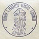 Turkey 1976 Edible Mushrooms Congress | Special Cover, Nov 23 - Briefe U. Dokumente