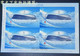 China 2021-12 Olympic Winter Games Beijing 2022 -Competition Venues  Stamps Uncut Four S/S Hologram Folder A - Inverno 2022 : Pechino