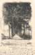 Eene Dreef Aan Den -  Une Drève Au - CRANENPOEL- Carte Circulé En 1908 - Nevele