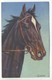 CPA Illustrateur L. CHRETIEN - Cheval, Pferd, Horse, Cavallo, Paard - Chevaux, Horses, Pferde, Paarden, Cavalli - Gougeon