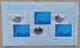 China 2022 Winter Olympic Opening Ceremony Special Edition Sheet MNH** - Winter 2022: Beijing