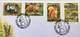 IRELAND 2002, NATIVE IRISH MAMMALS, 4 DIFFERENT STAMP, FV 2.48 £, RABBIT, HARE, SQUIRREL,  INFORMATION CARD - Covers & Documents