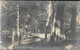 STONEHAVEN, Woods (Publisher - Davidsons Real Photographic Series) Date - Sep 1926, Used - Kincardineshire