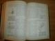 Delcampe - Einführung In Die Kenntnis Der Insekten , 1893 , H.J. Kolbe , Kgl. Museum Der Naturkunde , Insektenkunde ,Entomologie !! - Erstausgaben
