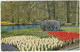 Holland In Bloementooi - ( Zuid-Holland, Nederland) - 1964 - Keukenhof - Lisse