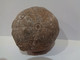 Delcampe - Fossil Sea Urchin. Psephechinus Michelini. Age: Jurassic, Bathonian. 175 Million Years. Locality: Gourama, Morocco. - Fósiles