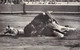 Delcampe - 4 DIFF. POSTCARDS BULL FIGHTING - STIERKAMPF / S1 - Corrida