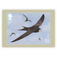 GB UK New *** 2022 Migratory Birds , Fauna, Animal, 10V Postcards MNH (**) - Ohne Zuordnung