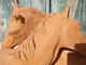 Sculpture équine En Terre Cuite. - Other & Unclassified