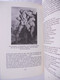 Delcampe - PHALOS De Spirituele Identiteit Van De Man - Door Eugène Monick Religie Archetypen Psychoanalyse Homo Sexualiteit Eros - Esoterismo