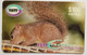 Trinidad & Tobago $100 Hungry Little Squirrel - Trinidad En Tobago