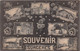 17-SURGERES-SOUVENIR MULTIVUES - Surgères