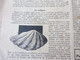 Delcampe - Année 1933  GUIGNOL Cinéma De La Jeunesse ...mais Pas Que ! ( Bascona, La Grotte Du Roumi, AVIATION MILITAIRE, BD, Etc ) - Tijdschriften & Catalogi