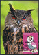 ANDORRA (2022) FAUNA Gran Duc, Bubo Bubo, Buho Real, Hibou Grand-duc, Eurasian Eagle Owl, Uhu Oehoe - Carte Maximum Card - Other & Unclassified