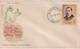 Delcampe - VARIOUS FIRST DAY COVERS- MIXED LOT OF 18-VINATGE 1960-1970- INDIA- BX2-41 - Lots & Serien