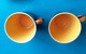 2 Tasses Et Sous Tasses DIGOIN SARREGUEMINES Marron Et Jaune - Digoin (FRA)