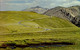 ROCKY MOUNTAIN NATIONAL PARCK   ( COLORADO ) TUNDRA CURVES ON TRAIL RIDGE ROAD - Rocky Mountains