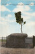 TREE ROCK ON THE LINCOLN HIGHWAY , EAST OF LARAMIE WYO  - F.P. - STORIA POSTALE - Laramie