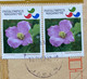 JAPAN 2007, FOOTBALL,FLOWER 5 STAMPS NIGATA CITY CANCELLATION COVER TO INDIA - Covers & Documents