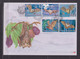 SOUTH AFRICA - 2001 Bats Large FDC X 2 As Scans - Brieven En Documenten