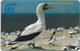 Ascension Island - C&W - GPT - 5CASA - White Booby Bird, 1994, 5.000ex, Used - Isole Ascensione