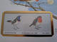 NICE LETTER NORWAY /BIRDS   / BIG COVER / STAMPBOOKLET         ** BRIEF 125** - Storia Postale