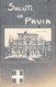 CPA Saluti Da Pavia - Oblitéré à Torino - Pavia