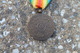 Delcampe - Médaille Belgique Commémorative De 1914 1918 - Belgium