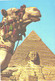 Egypt:Giza Sphinx And Kephre Pyramid - Pyramides