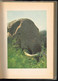 Le Grand Safari - Christian Zuber - 1973 - 188 Pages 20,5 X 14,5 Cm - Collection Spirale