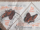 Delcampe - Errors Romania 1960 # Mi 1919  Color Printing Out Butterfly Wings  Used - Variedades Y Curiosidades