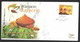 India 2022 New GI TAG - Waigaon Tumeric , Food ,Gastronomy , Stem , Medicine , Spice ,Special Cover  (**) Inde Indien - Covers & Documents