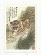 CARTE POSTALE , Entier Postal , 4, CHINE , BEIJING 2 , 2 Scans , Félidés , Animaux , 1985 - Cartoline Postali